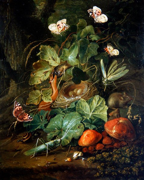 Lesní zátiší s ovocem a motýly (olej na desce) od Elias van den Broeck