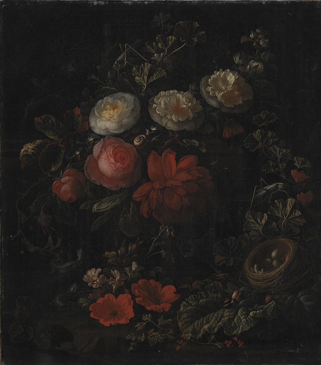 Květiny od Elias van den Broeck
