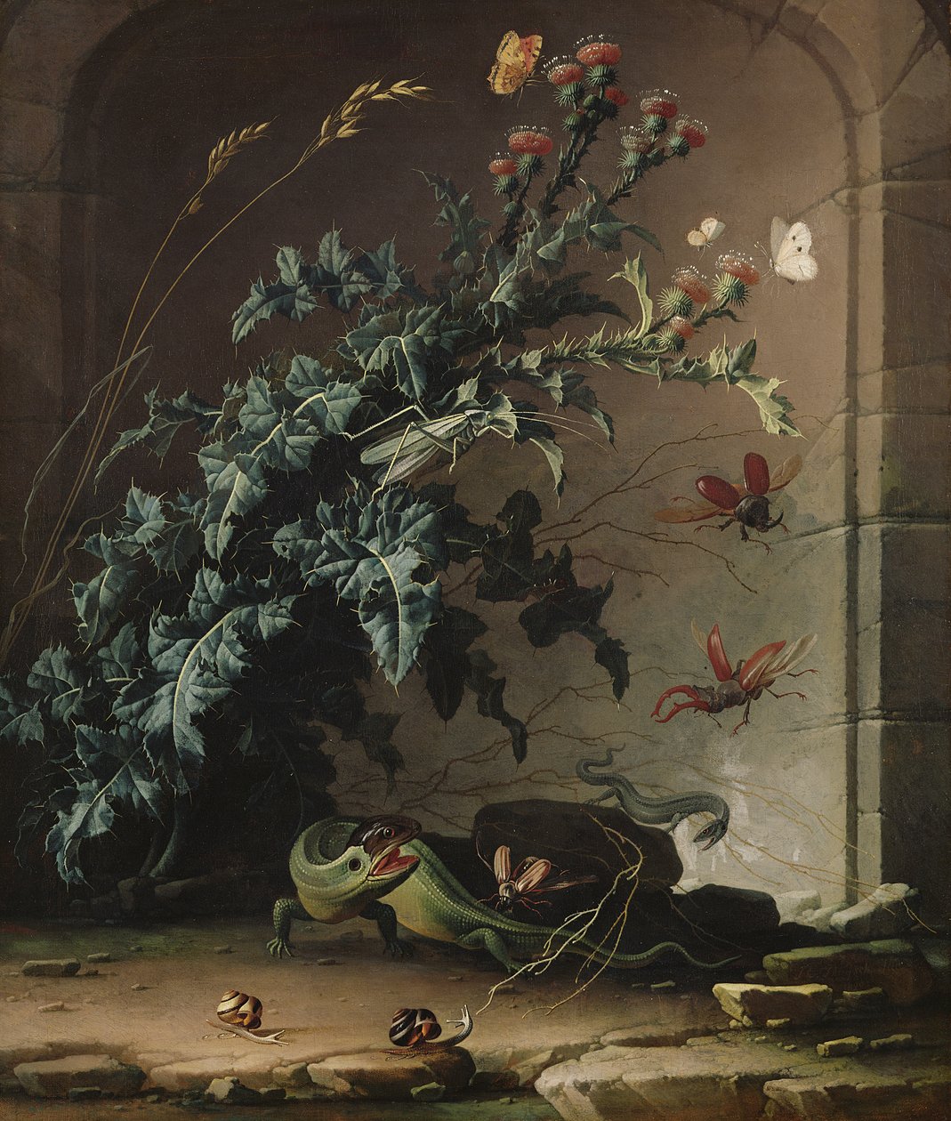 Stone Niche s bodlákem, ještěrkou a hmyzem, 1690 od Elias van den Broeck