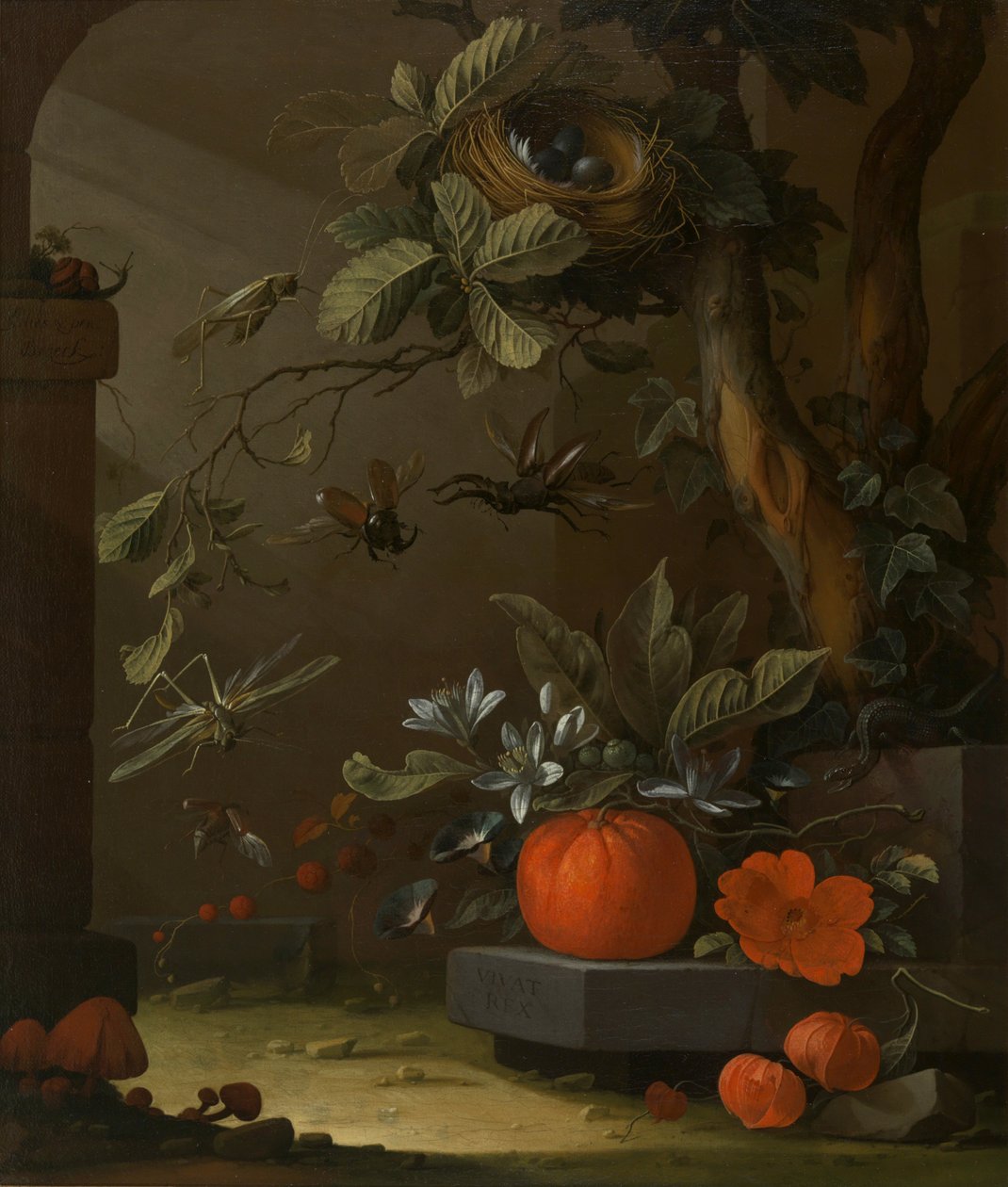 Vivat Rex od Elias van den Broeck