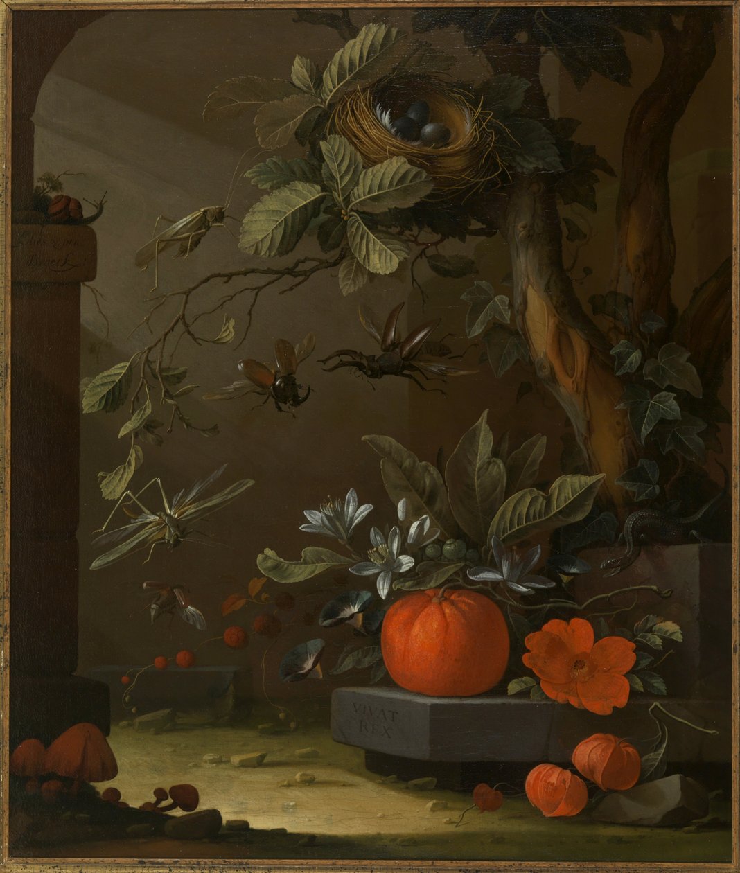 Vivat Rex od Elias van den Broeck
