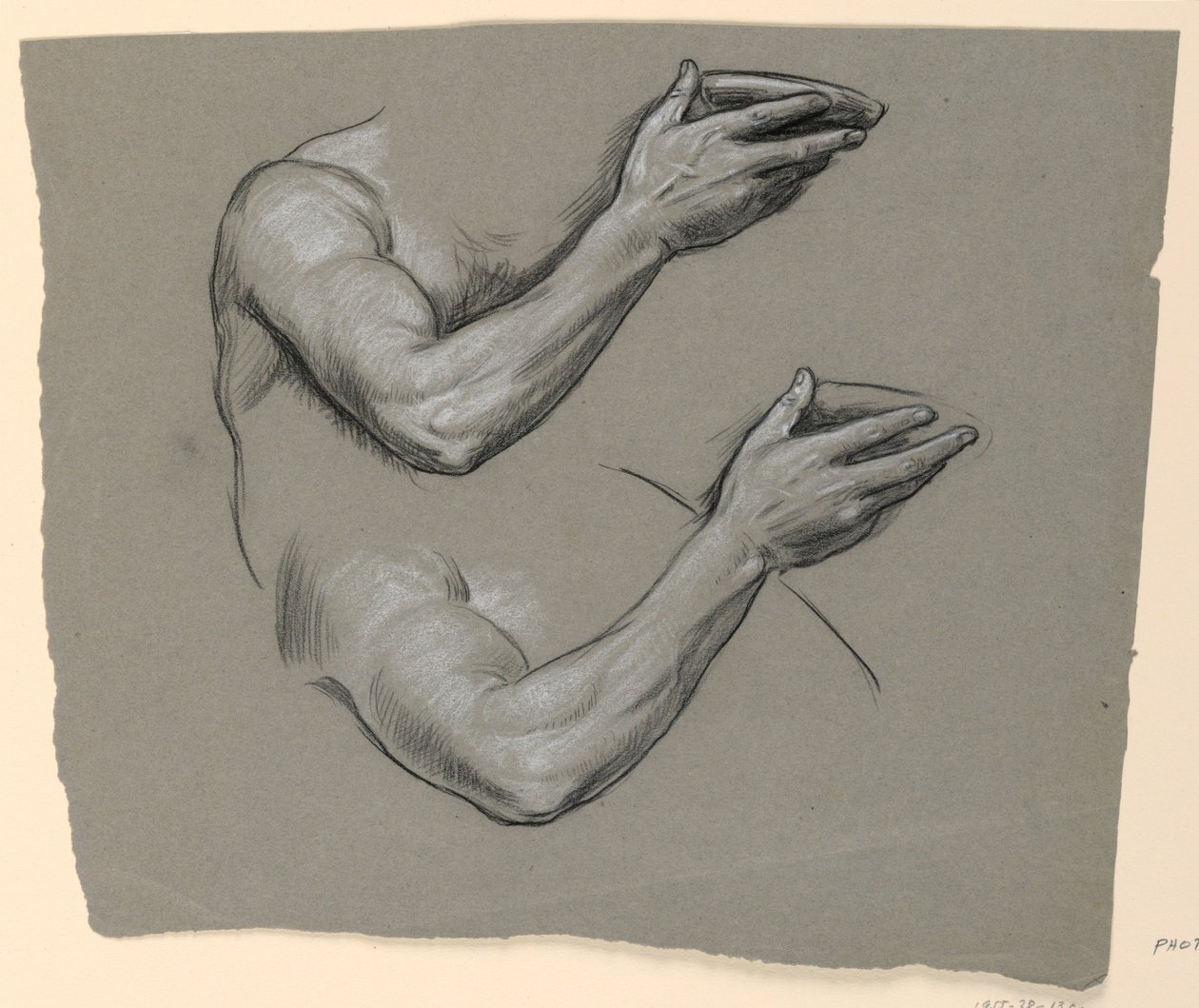 Kresba, Detaily dvou mužských paží, asi 1885 od Elihu Vedder