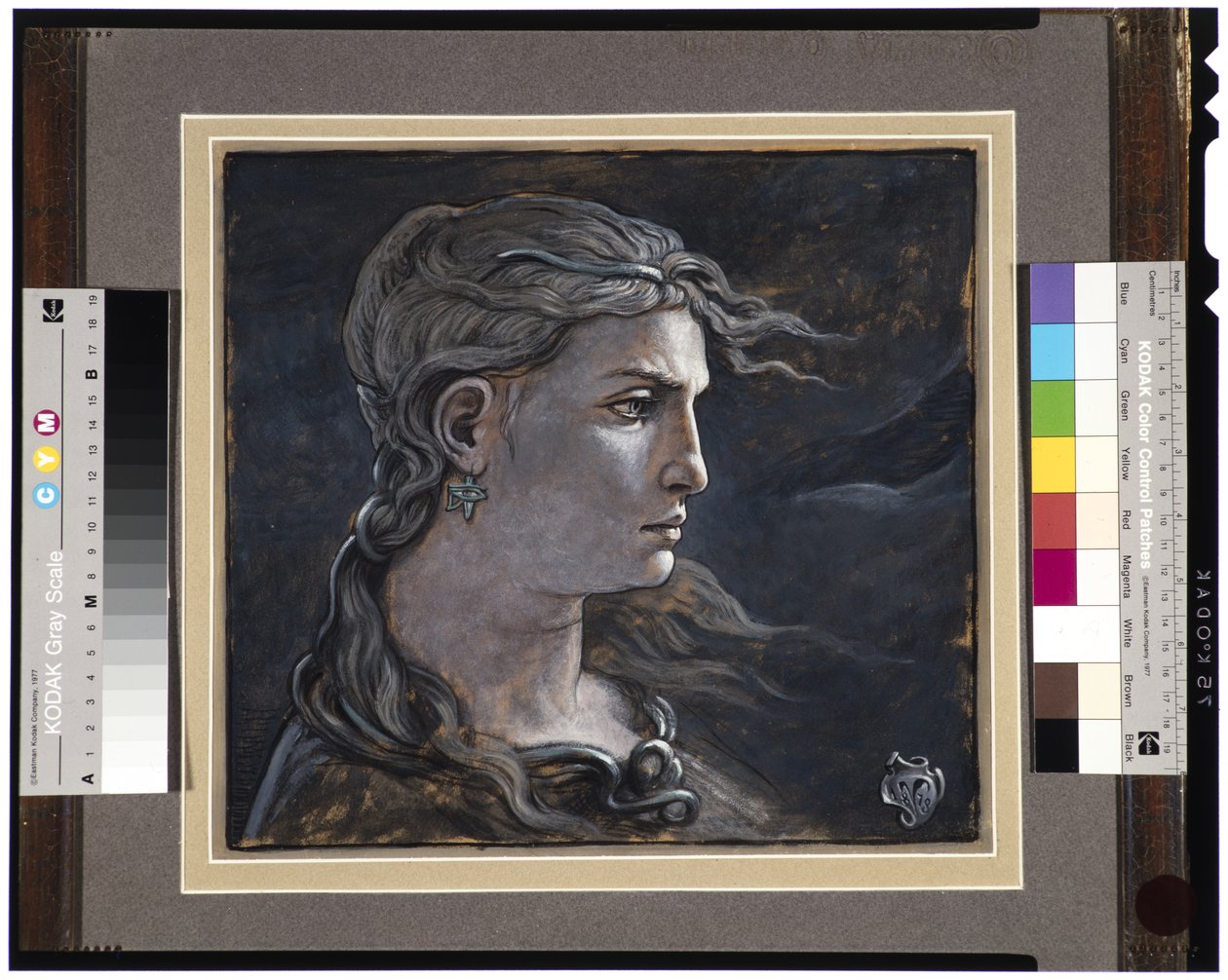 Hlava Medúzy, 1878 od Elihu Vedder