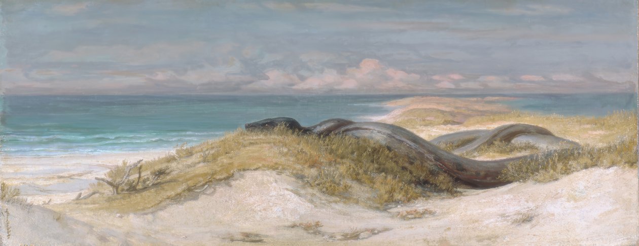 Jeskyně mořského hada od Elihu Vedder