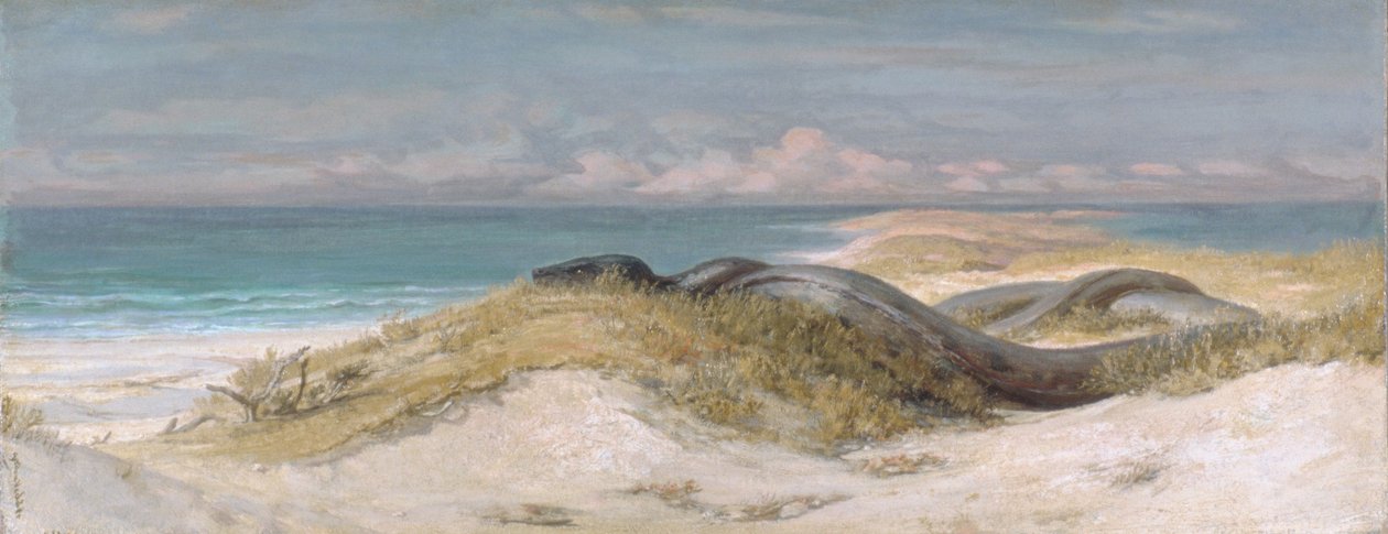 Doupě mořského hada od Elihu Vedder