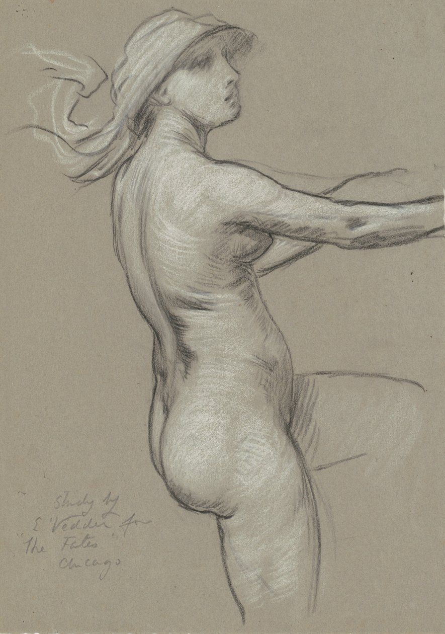 Studie pro osudy shromažďující se ve hvězdách, 1884-1887. od Elihu Vedder