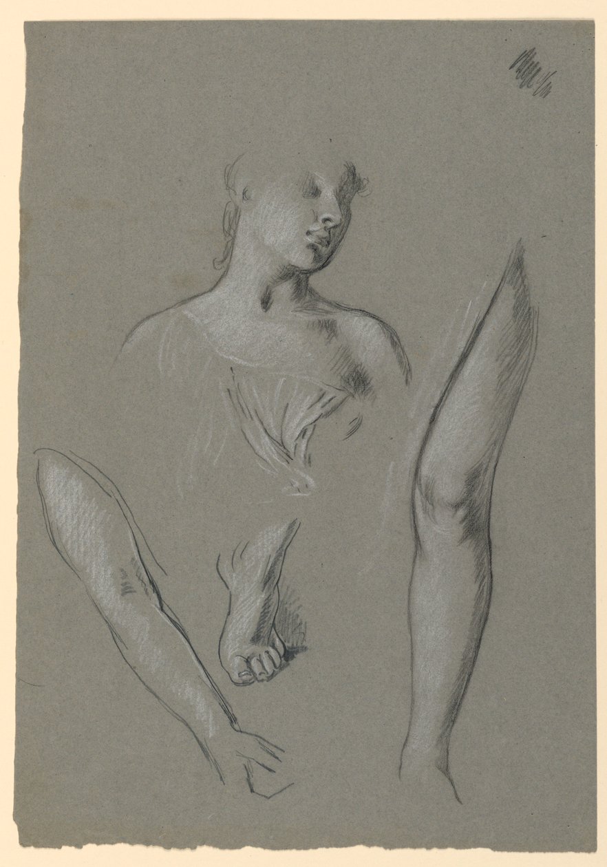 detaily figurálních studií od Elihu Vedder