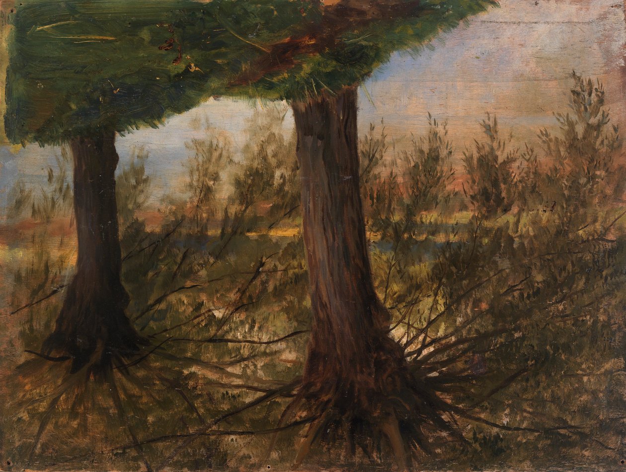 Stromy vedle potoka, konec 19. a začátek 20. století. od Eliphalet Frazer Andrews