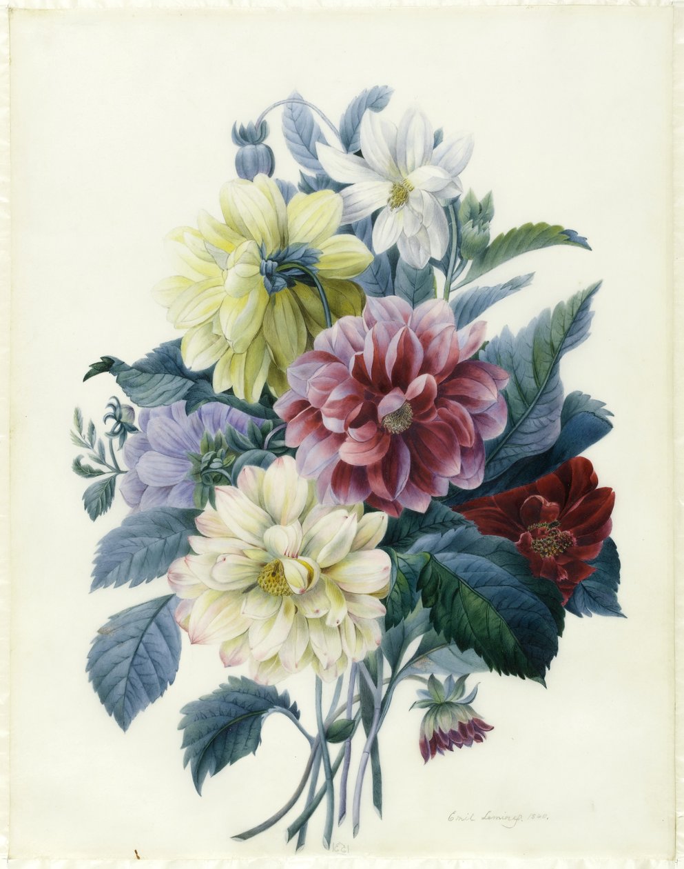 Smíšené jiřiny, 1840 (čb a tělové barvy na pergamenu) od Elisa Emilie Lemire