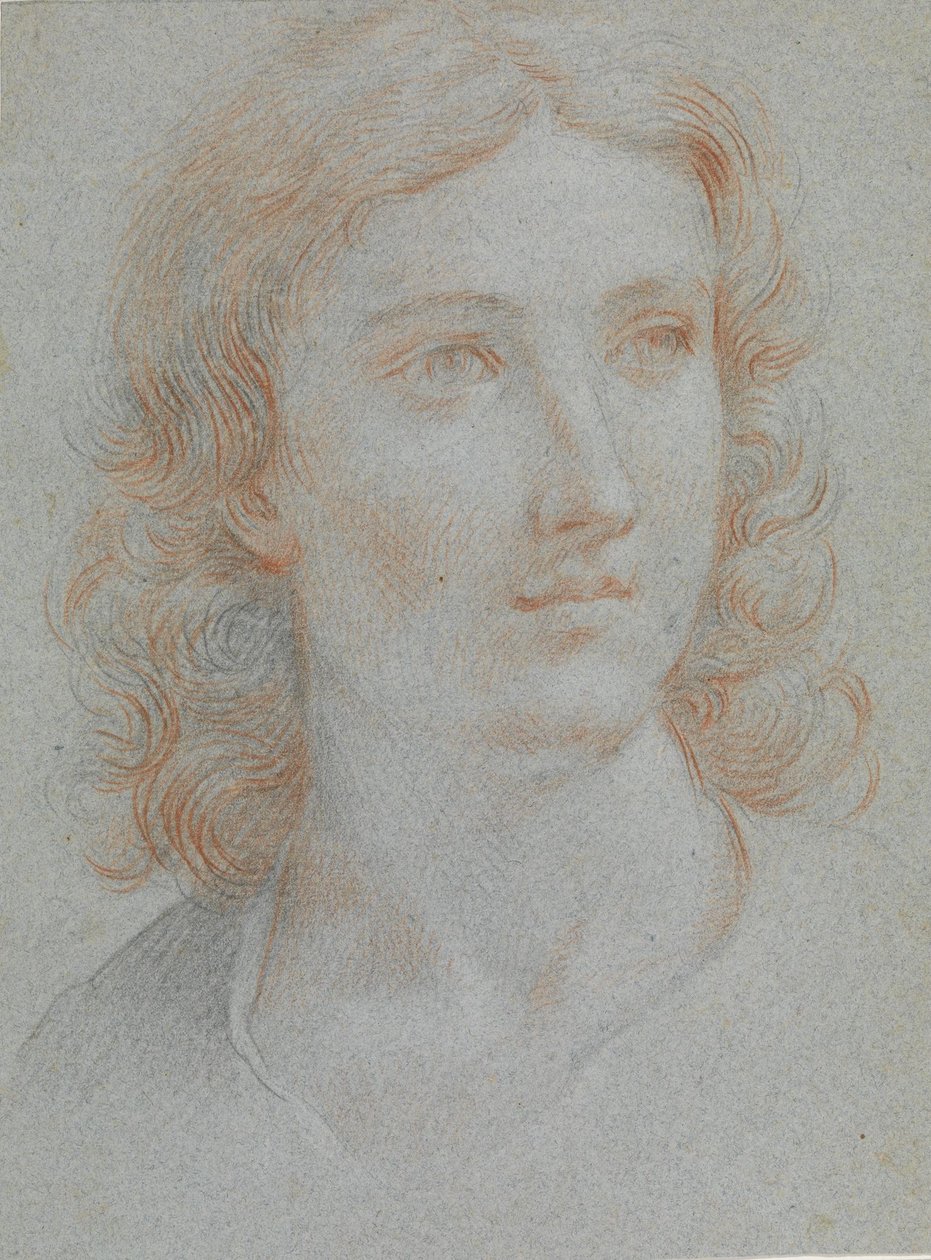 Hlava mladého muže od Elisabetta Sirani