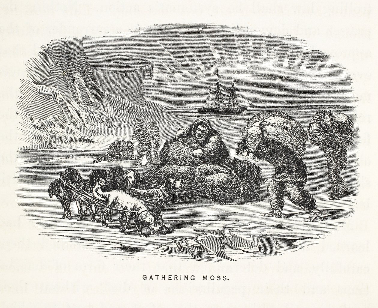 Gathering Moss, ilustrace z knihy "The second Grinnell Expedition in Search of Sir John Franklin...", 1856 od Elisha Kane