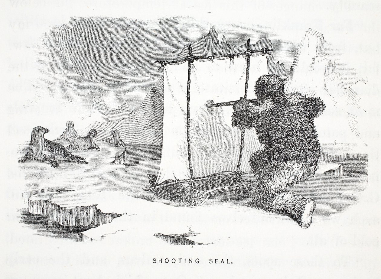 Shooting Seal, ilustrace z „Druhá Grinnellova expedice při hledání sira Johna Franklina...“, 1856 od Elisha Kane