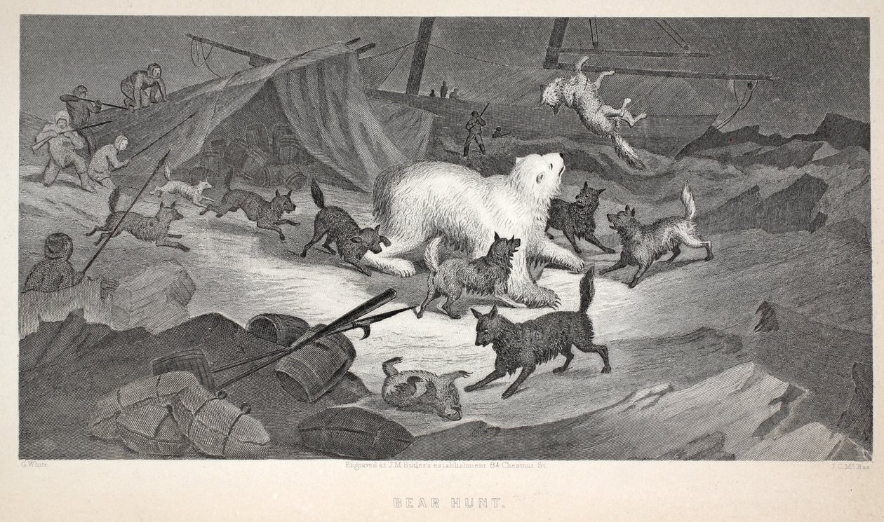 Lov medvěda, ilustrace z knihy "The second Grinnell Expedition in Search of Sir John Franklin...", 1856 od Elisha Kane