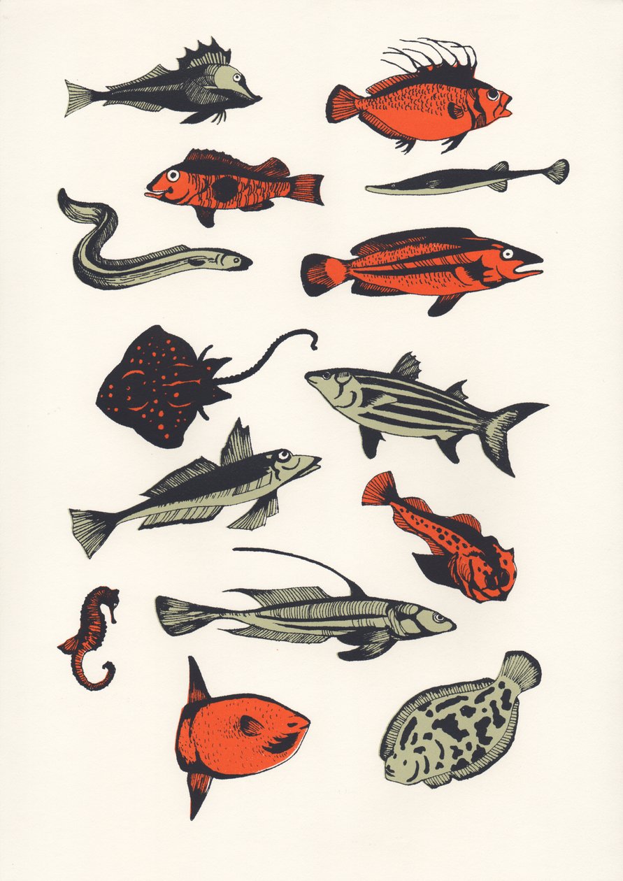 Orange Plain Fish, 2016 (screenprint) od Eliza Southwood