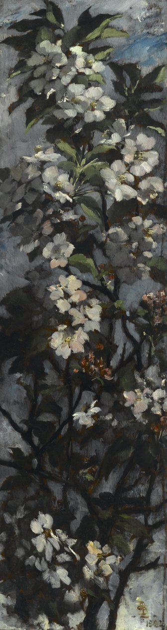 Květy jabloní od Elizabeth Boott Duveneck