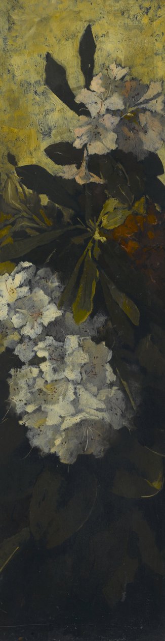 Rhododendrony od Elizabeth Boott Duveneck