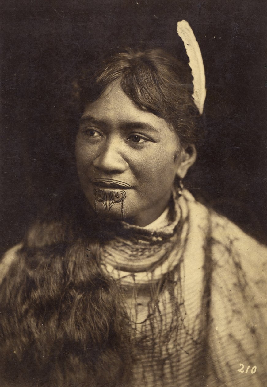 Portrét, kolem roku 1875 (tisk alba) od Elizabeth Pulman