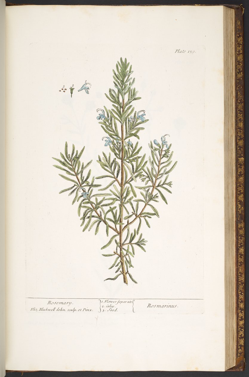 Talíř 159, z 