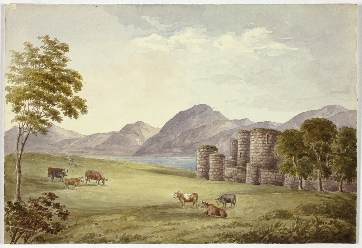 Beaumanův hrad od Elizabeth Murray