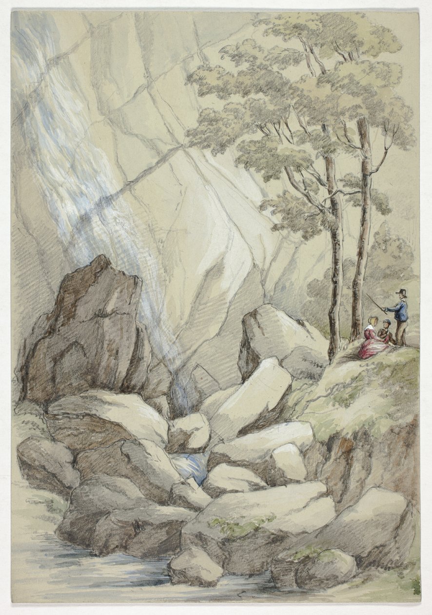 Vodopád Powerscourt od Elizabeth Murray