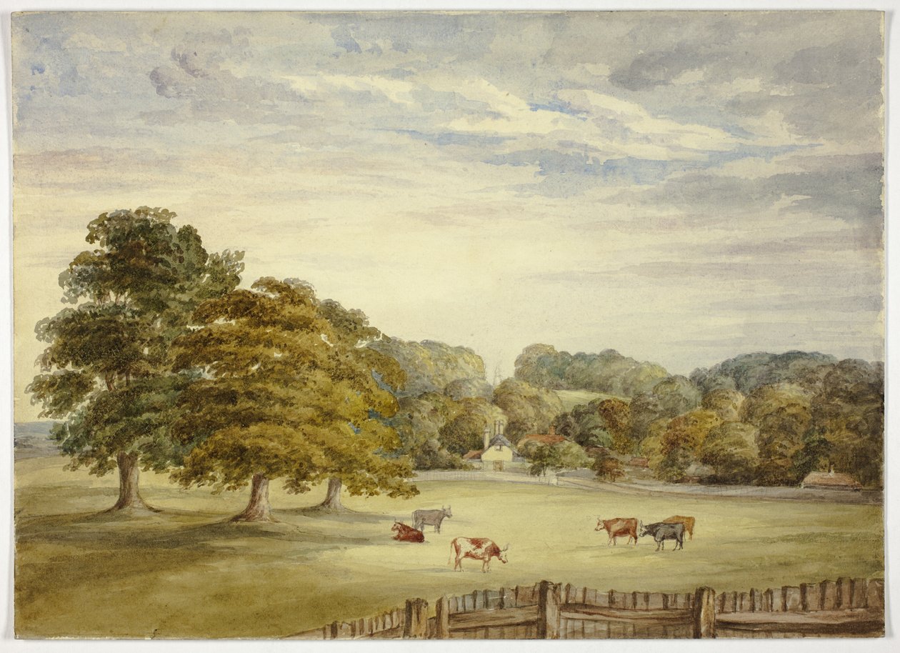 Šest krav pasoucích se před Country House od Elizabeth Murray