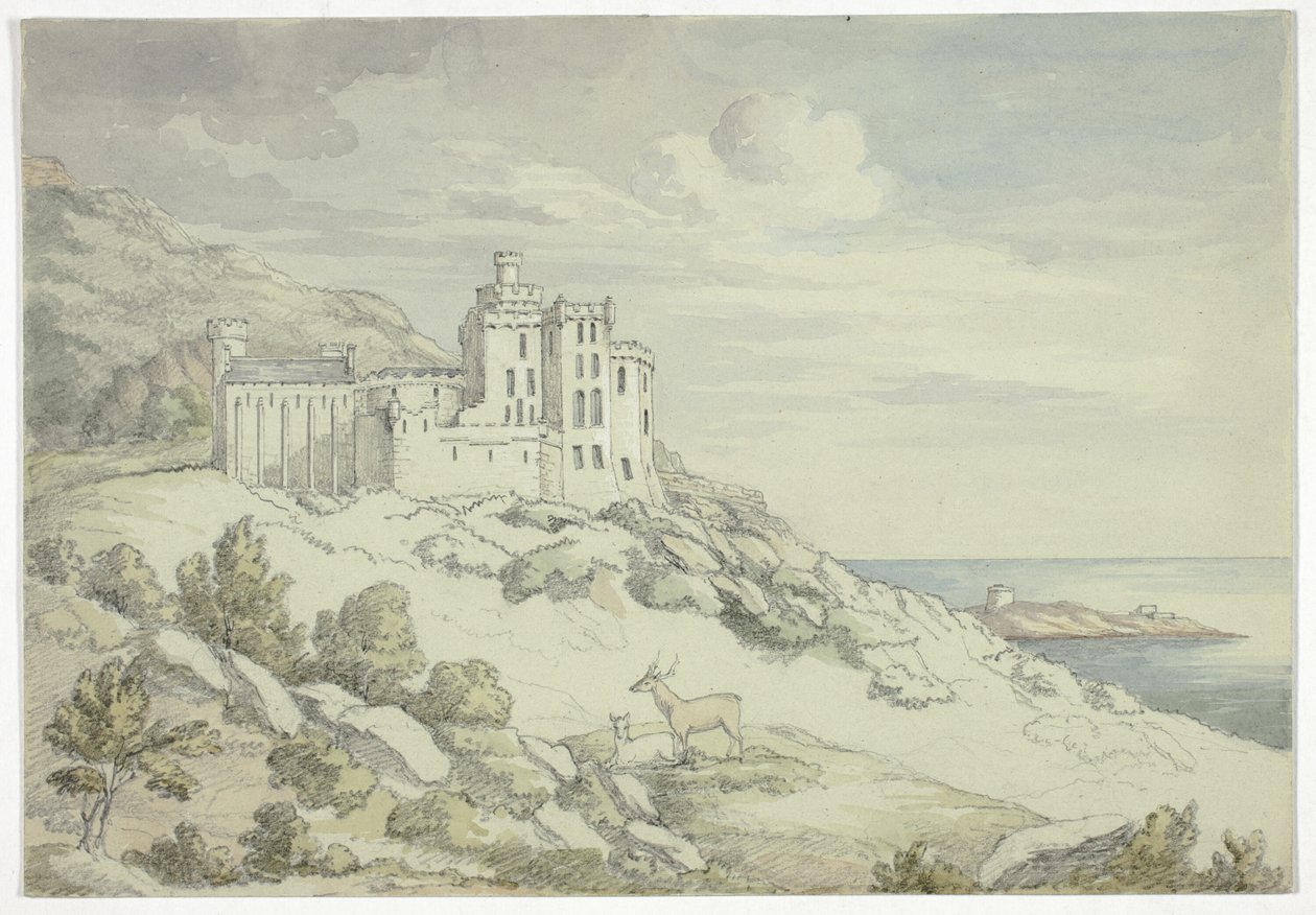 Viktoriin hrad od Elizabeth Murray