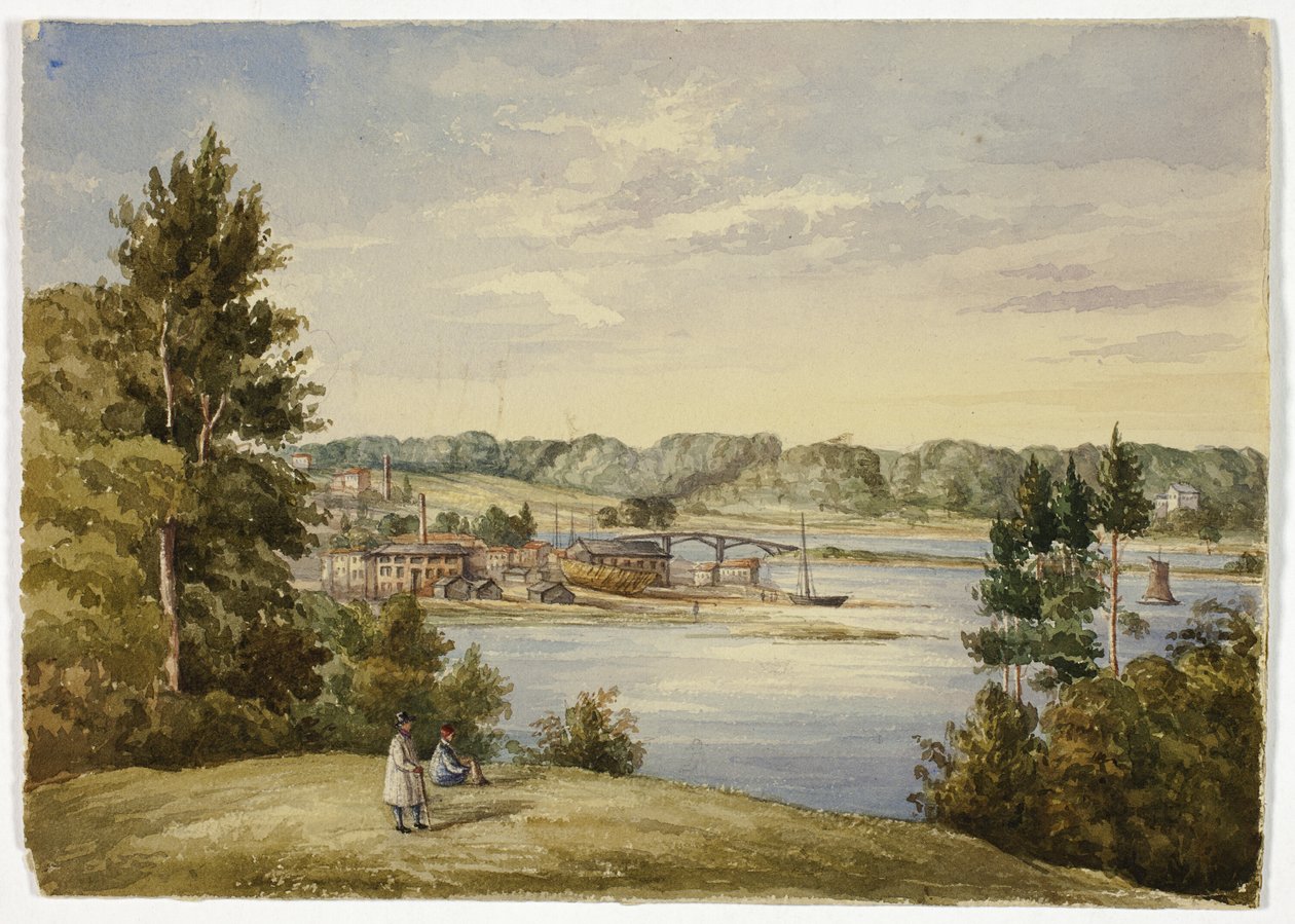 Pohled ze Sydney od Elizabeth Murray
