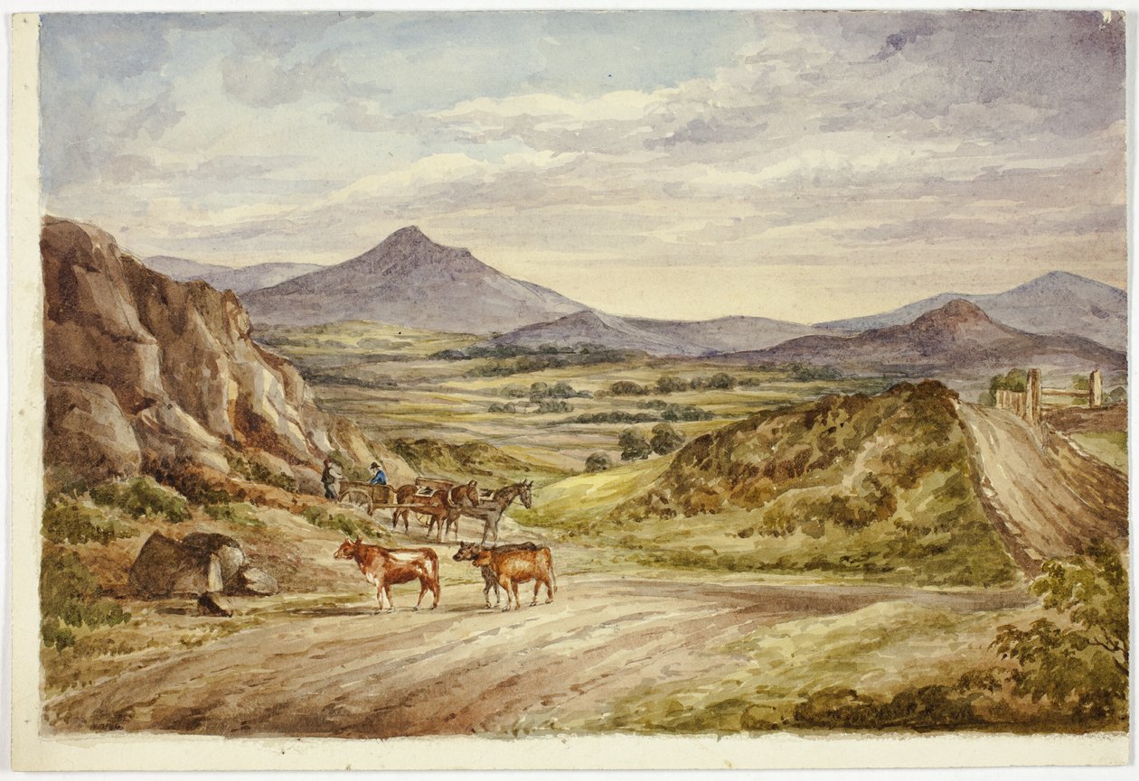 Wicklow Hills od Elizabeth Murray