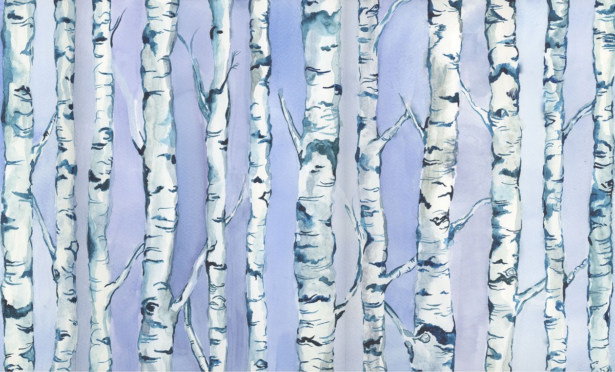 Silverbirch Forest, 2018 (akvarel a akryl) od Elizabeth Rider
