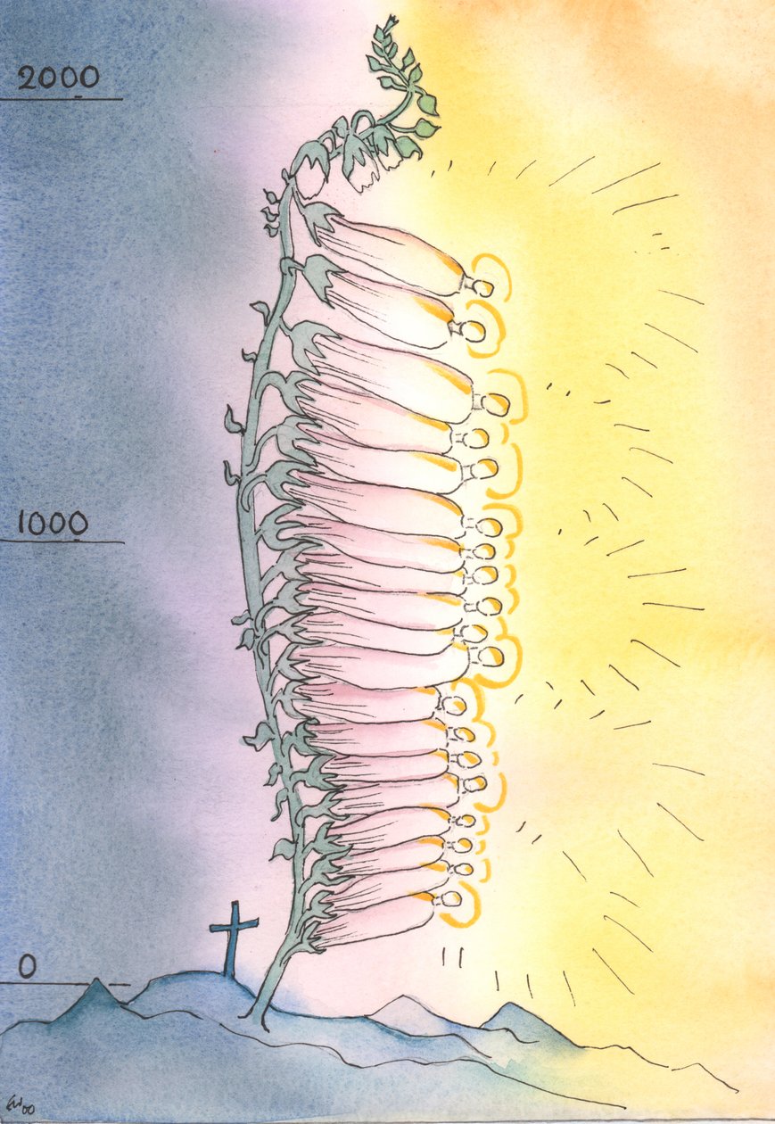 Církev vydává živé výhonky svatosti, aby kvetly v každém věku, 2003 (bez papíru) od Elizabeth Wang