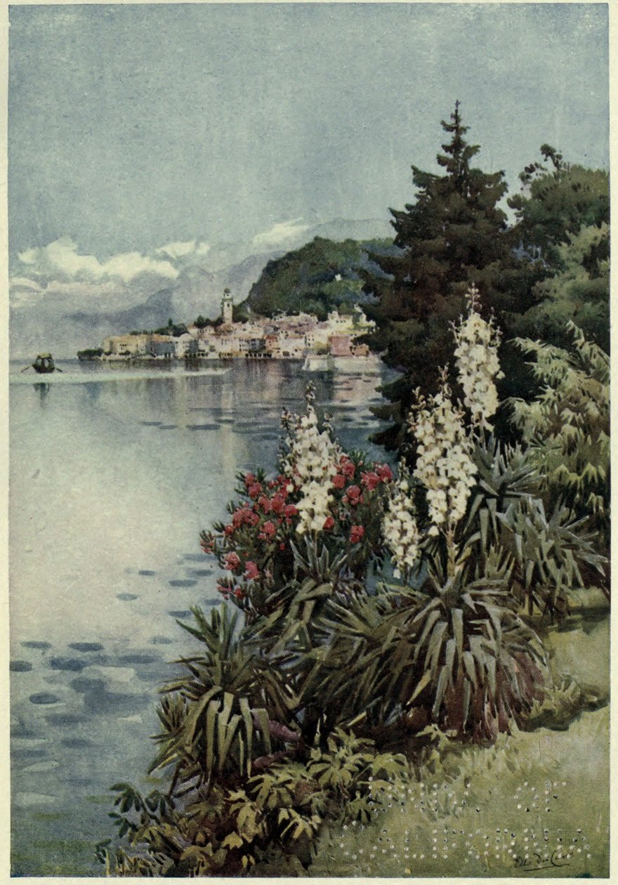 Skupina Yuccas, Villa Melzi, Lago di Como, Ilustrace z „Italských jezer“ od Richarda Bagota od Ella Du Cane