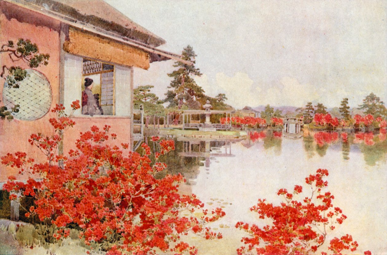 Azalky, Nagaoka (barevná litografie) od Ella Du Cane