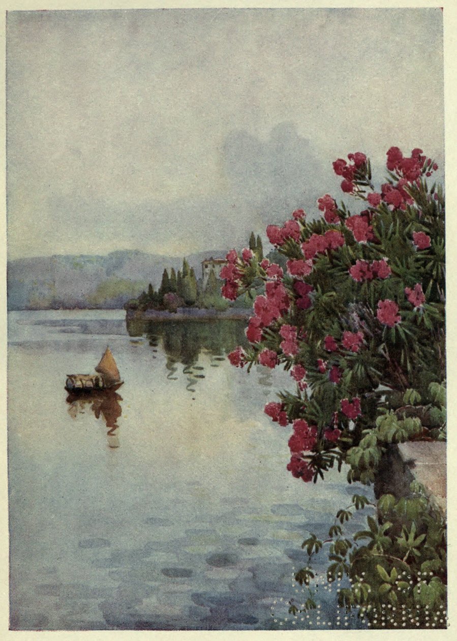 Oleandry, Lago di Como, Ilustrace z 