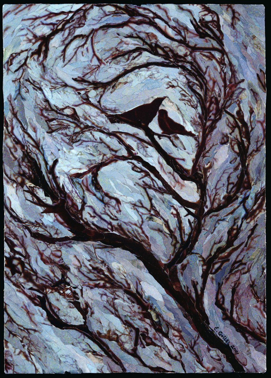 Stormy Day, Greenwich Park, 2001 (papírová mozaiková koláž) od Ellen Golla