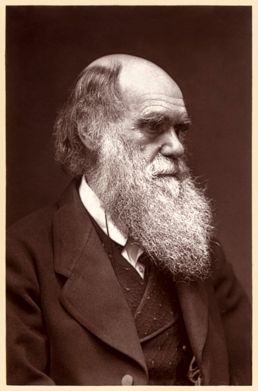 Charles Darwin: anglický přírodovědec od Elliott und Fry Studio