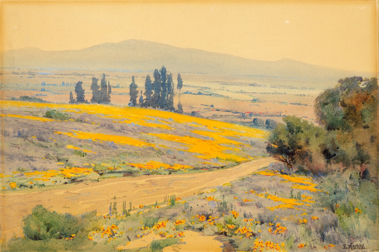Kalifornská jarní krajina, ca. 1920. od Elmer Wachtel