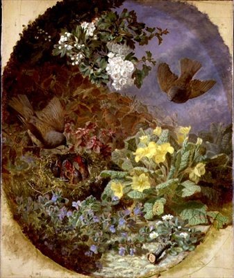 Střízlíci krmí svá mláďata v hnízdě (r. a r. 1876) od Eloise Harriet Stannard