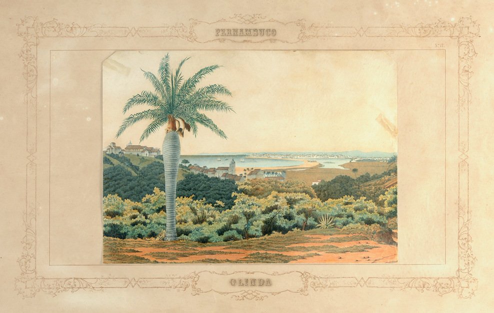 Olinda od Emil Bauch