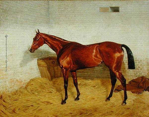 "Lonely", vítěz Derby 1885 od Emil Adam