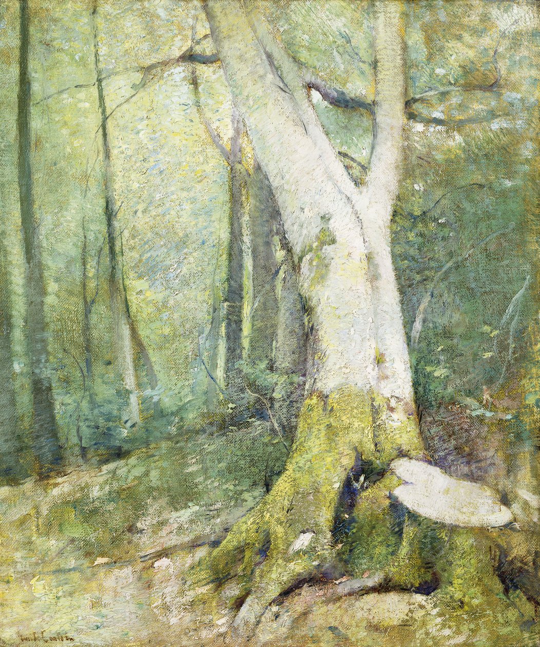 Interiér Woodland od Emil Carlsen