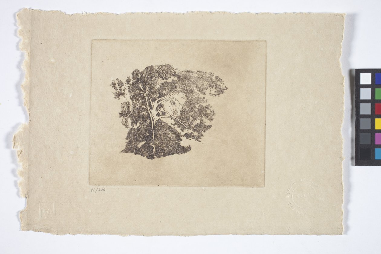 Stromová studie (inkoust) od Emil Carlsen