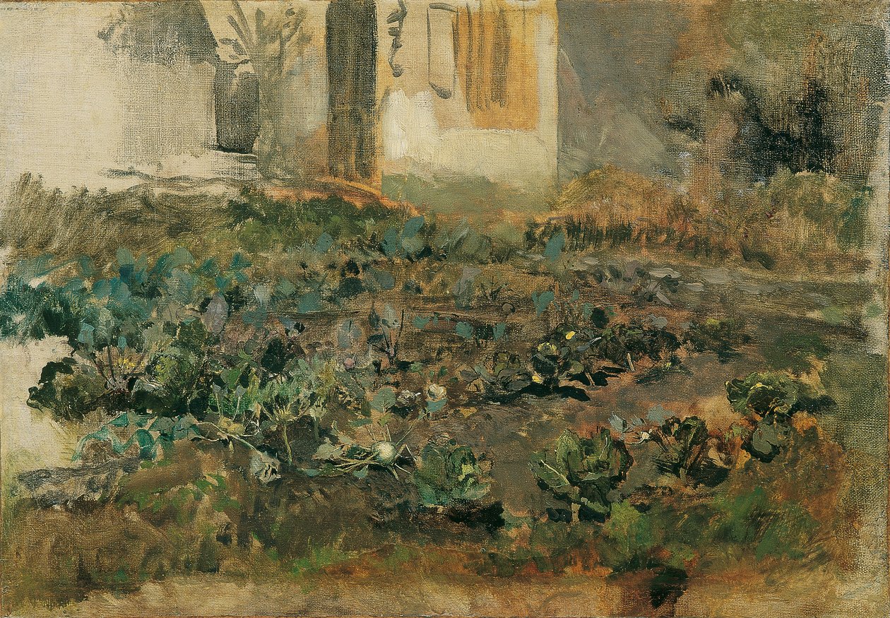 Kohlrübenfeld od Emil Jakob Schindler