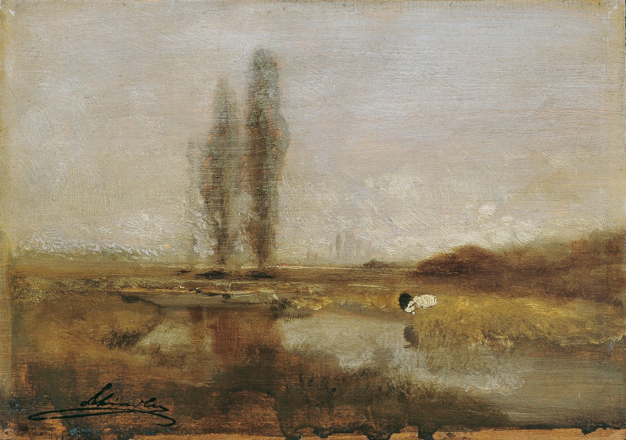 Moorland poblíž Lundenburgu od Emil Jakob Schindler