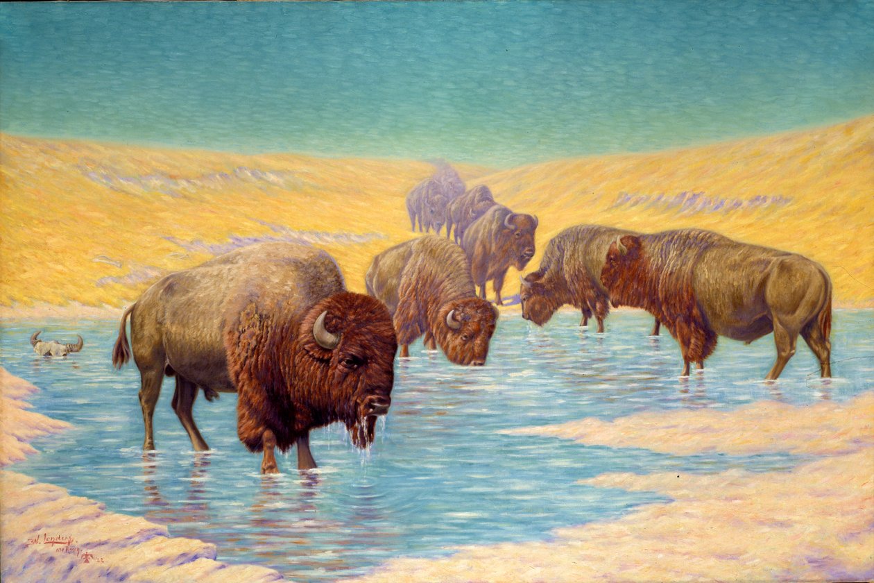 Buffalo Scéna, 1922. od Emil W. Lenders