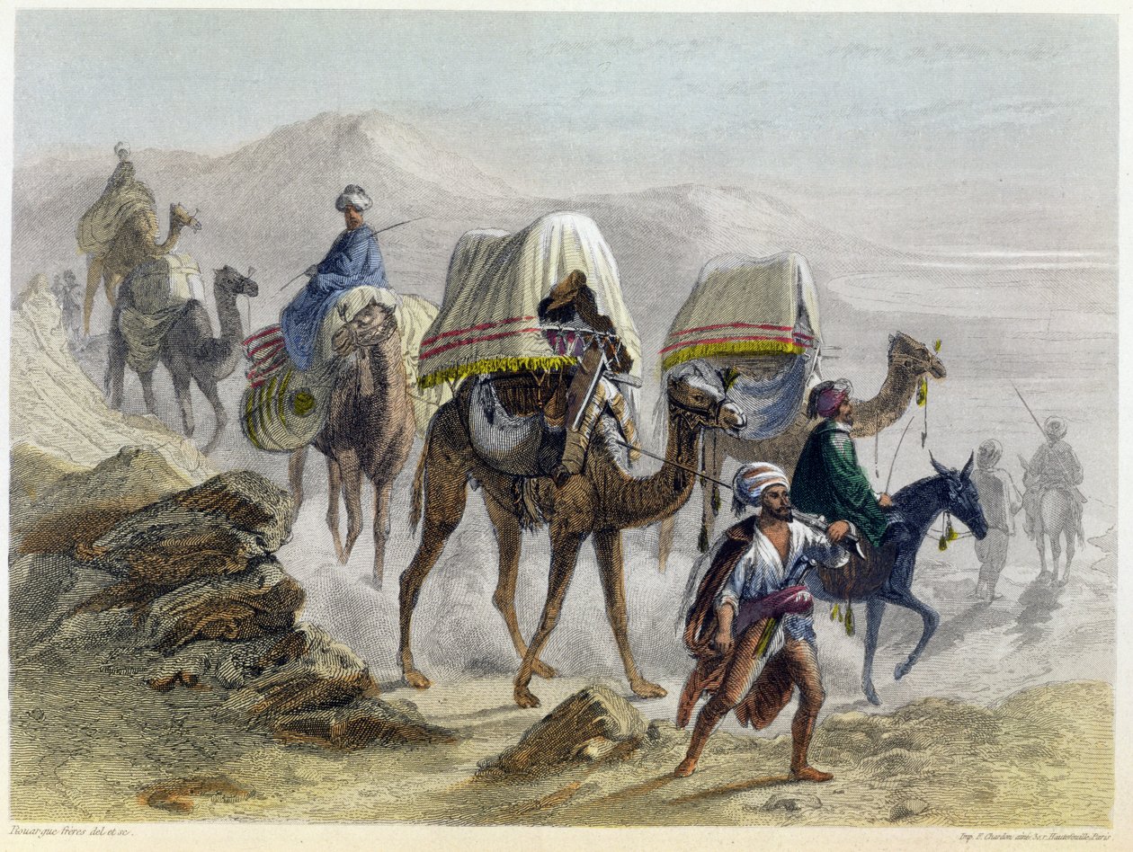 Velbloudí vlak z „Konstantinopole a Černého moře“, vyrytý bratry Rouergueovými, 1855 od Emile and Rouergue Rouergue