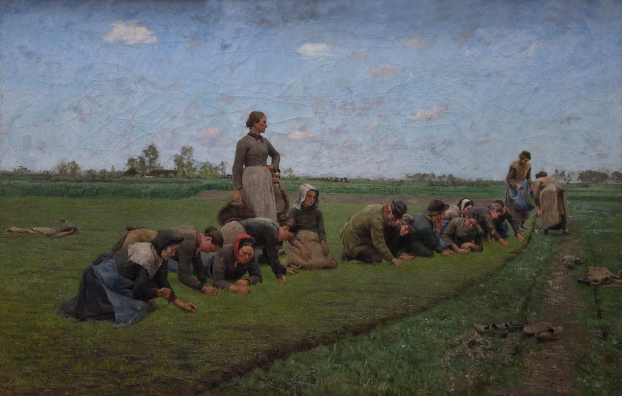  Vlaswieden in Vlaanderenn od Emile Claus