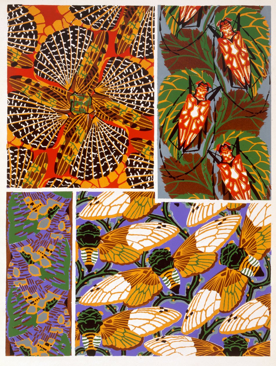Design s motivem hmyzu od Émile Allain Séguy
