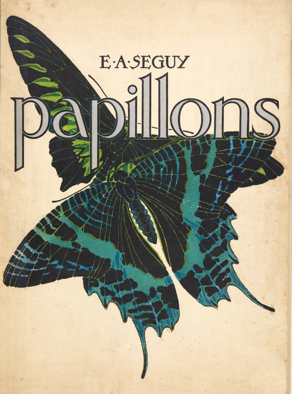 Přední strana obálky od Butterflies, pub. 1925 (tisk šablony) od Émile Allain Séguy