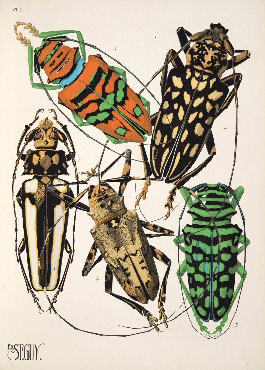 Talíř 4 z Insectes, hospoda. 30. léta (pochoir print) od Émile Allain Séguy