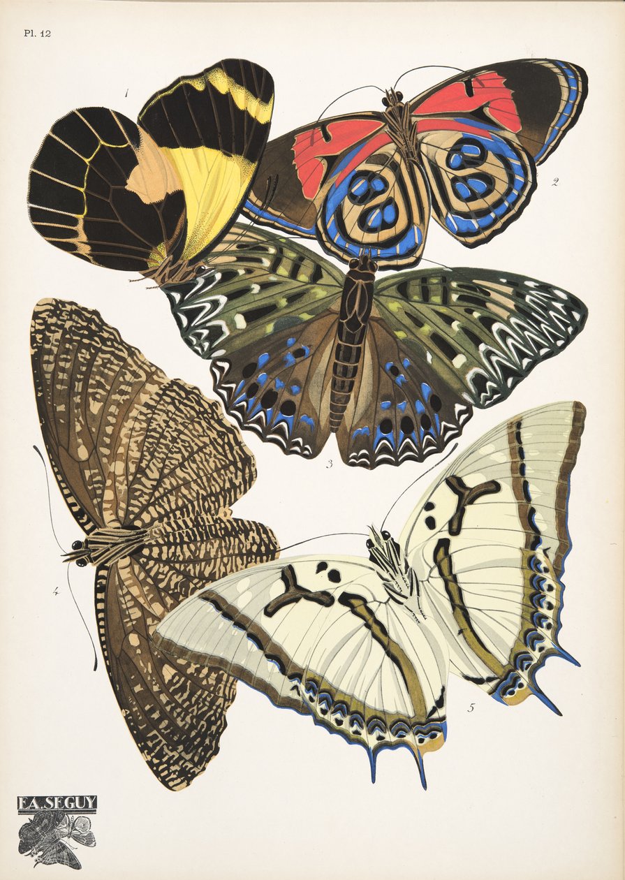 Talíř 12, z Motýlů, hospoda. 1925 (tisk šablony) od Émile Allain Séguy
